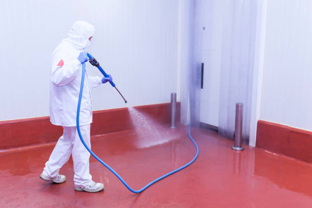 Best Factory Floor Cleaning  in Atlantis, FL