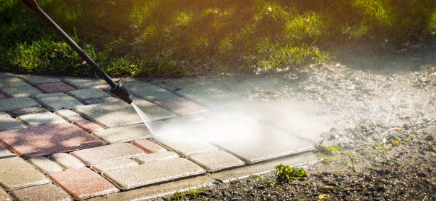 Animal Enclosure Cleaning in Atlantis, FL